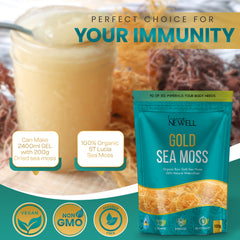 Raw Gold Sea Moss (100g)